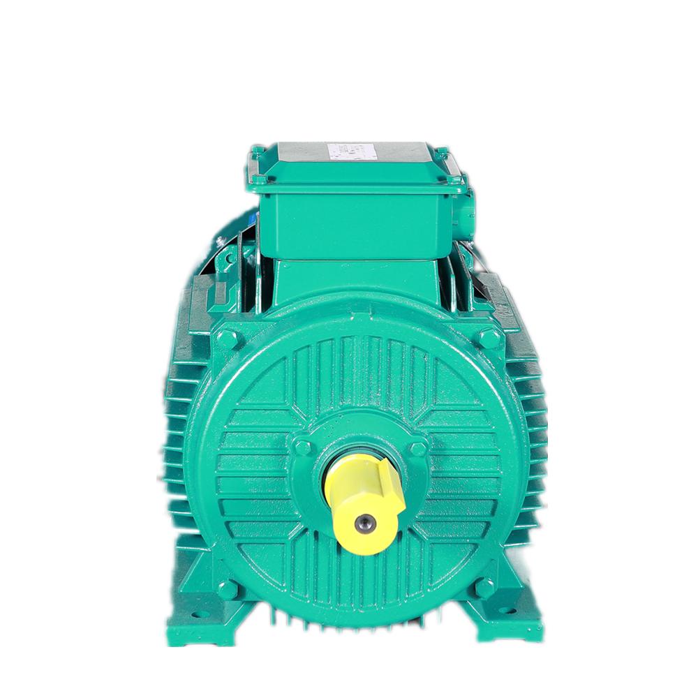 3000 w 4kw 4000 w 5kw 7kw Elek - Brushless Motor recensie en prijs