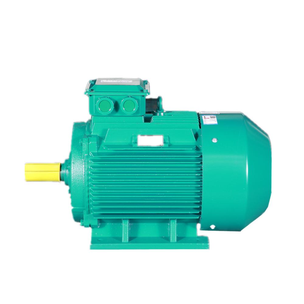 3000 w 4kw 4000 w 5kw 7kw Elek - Brushless Motor recensie en prijs